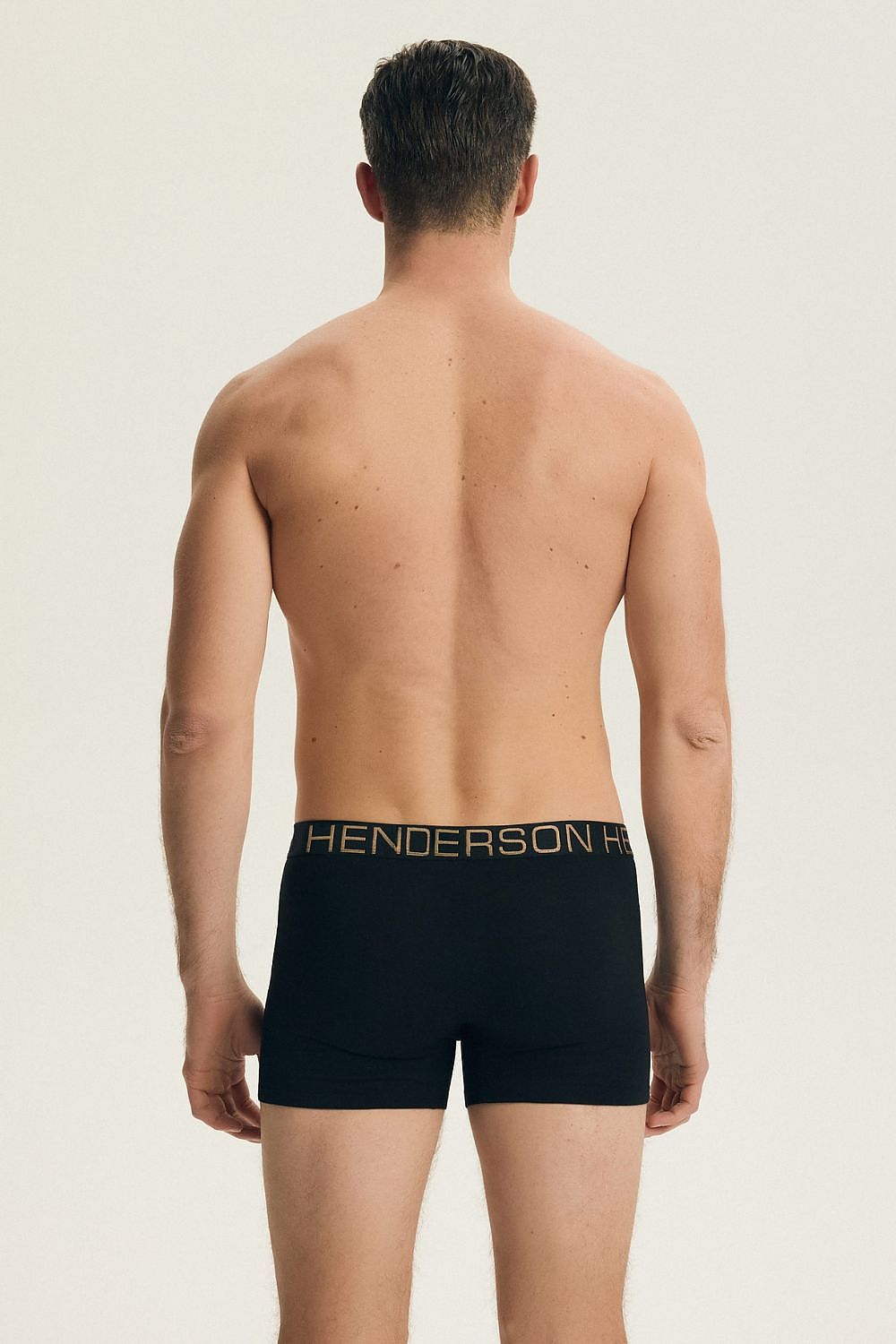  L`ensemble model 223979 Henderson 